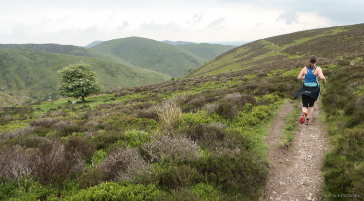 Traversing around Round Hill. © Haydn Williams 2014