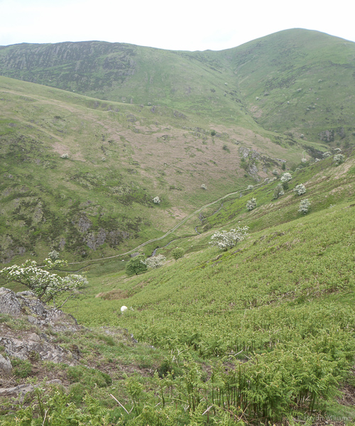 Looking down to Ashes Hollow.  © Haydn Williams 2014